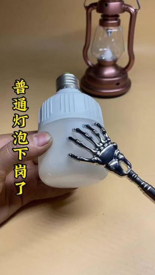 給愛寵與生活加點料 這些實用好物，獸醫也在用！